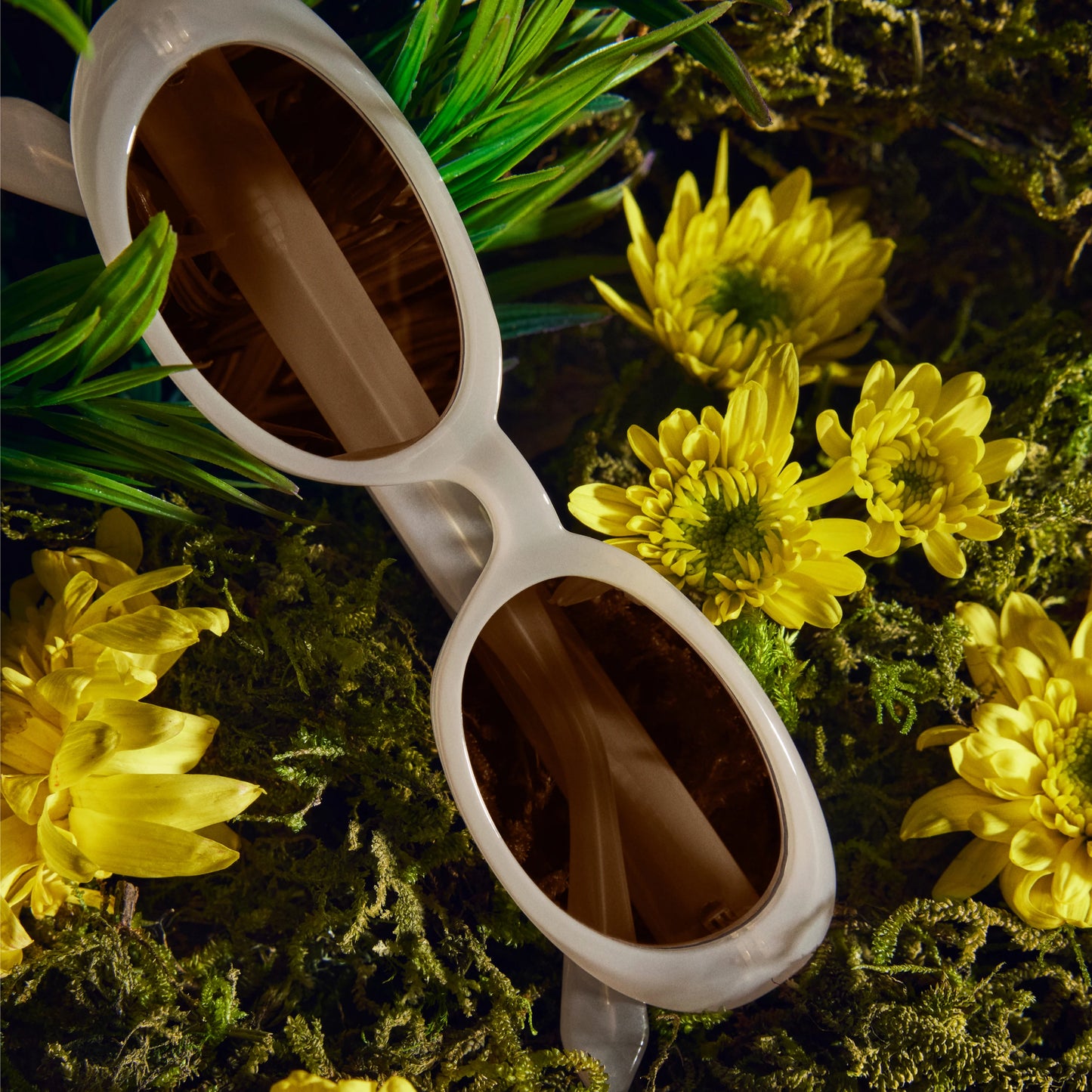 QUAY Felt Cute Sunglasses - Bone/Tan