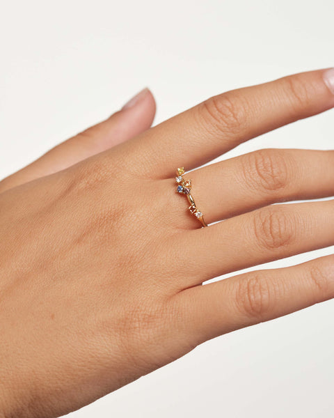 PDPAOLA Five Ring - 925 Sterling Silver / 18K Gold Plating